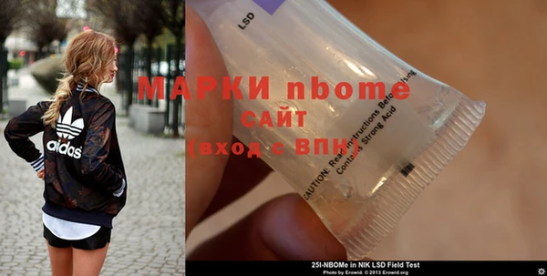 амф Новозыбков