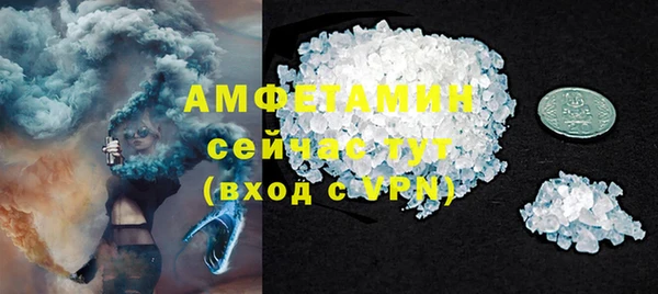 амф Новозыбков