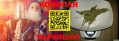 ALPHA PVP Гатчина