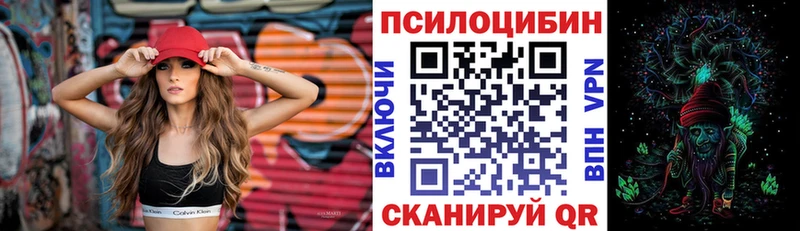 Галлюциногенные грибы Psilocybine cubensis  закладки  Мирный 