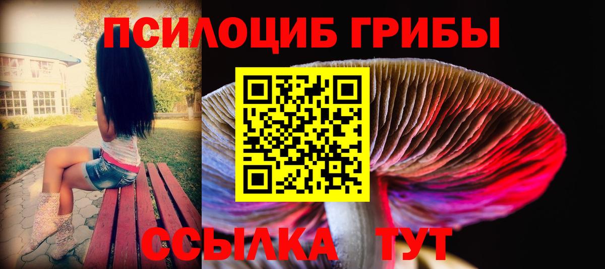 что такое наркотик  Псилоцибиновые грибы мицелий  Вход с VPN  Мирный 